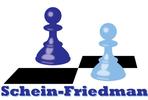 Schein-Friedman Project (American Chess Academy)