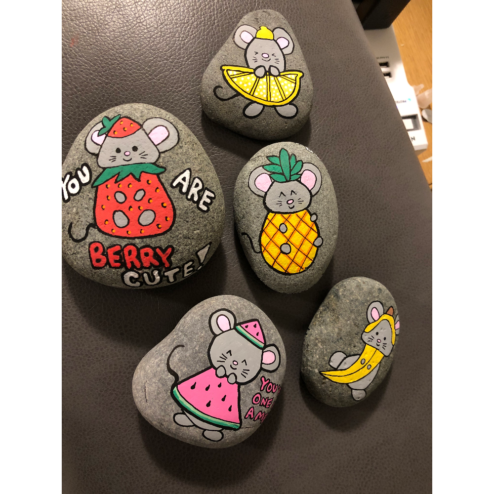 Custom-painted Rocks