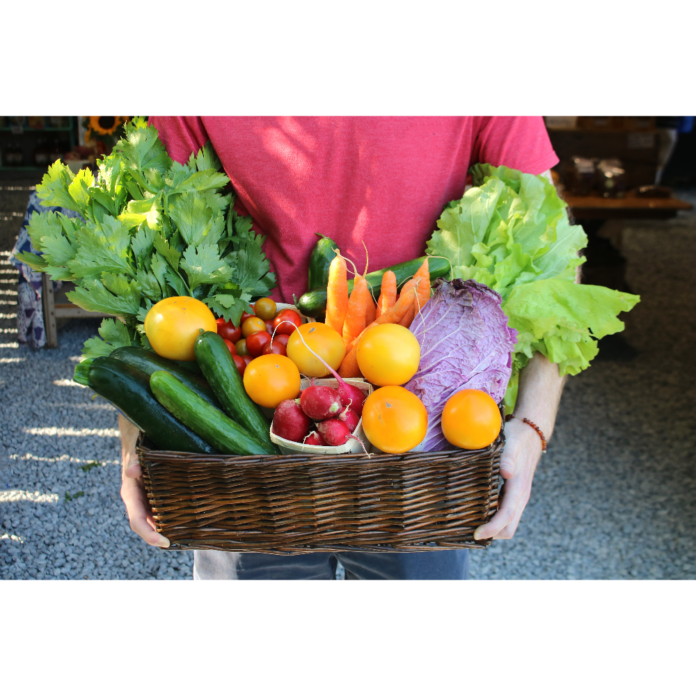 Ottawa Farm Fresh - Mini Summer Abundance CSA (22 baskets)